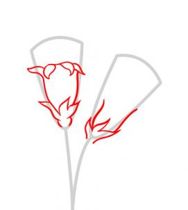 6 bước vẽ hoa cẩm chướng – biểu tượng quốc gia Slovenia - cực đẹp (6)