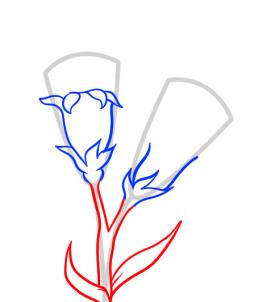 6 bước vẽ hoa cẩm chướng – biểu tượng quốc gia Slovenia - cực đẹp (7)