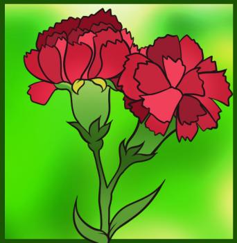 6 bước vẽ hoa cẩm chướng – biểu tượng quốc gia Slovenia - cực đẹp (4)