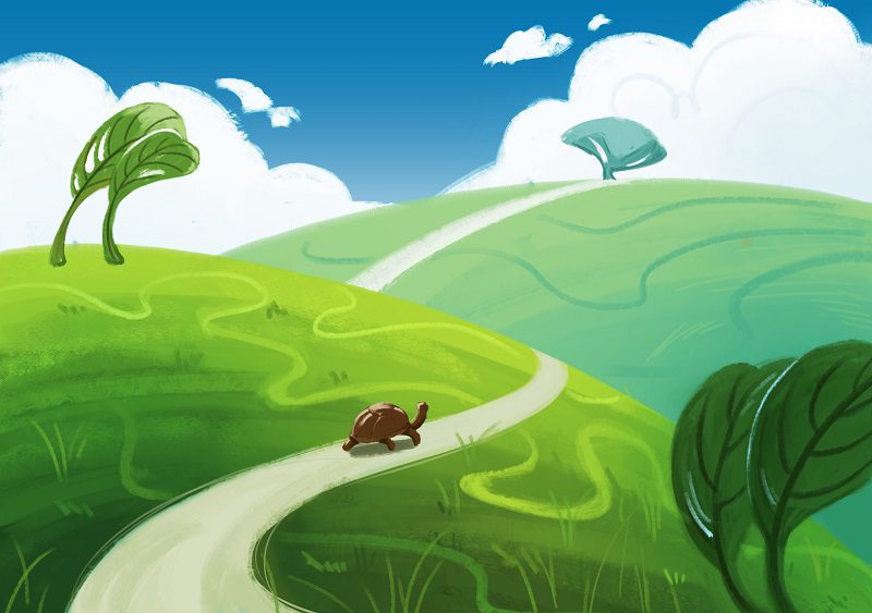 học digital painting minh họa rùa và thỏ