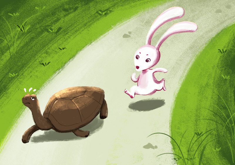 học digital painting minh họa rùa và thỏ