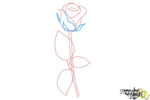 10 bước vẽ hoa hồng đơn giản cho người mới bắt đầu 6