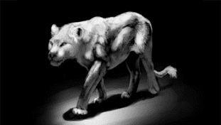 7 bài tập nâng trình Digital Painting 36
