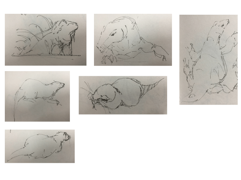 Bài tập Gesture Drawing Nguyễn Lê Bích Trâm 15