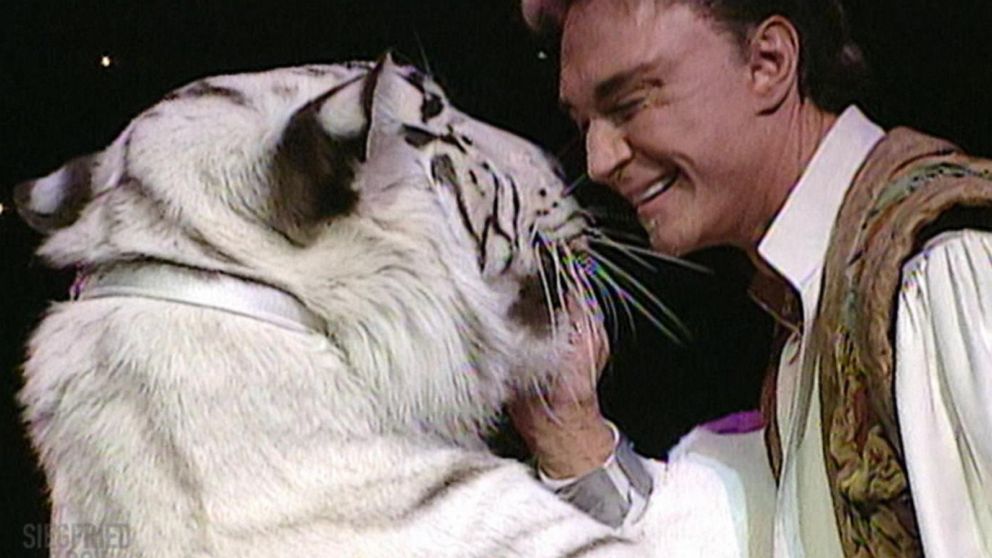 Roy Horn bị con hổ Montecore do chính ông nuôi tấn công vào năm 2003